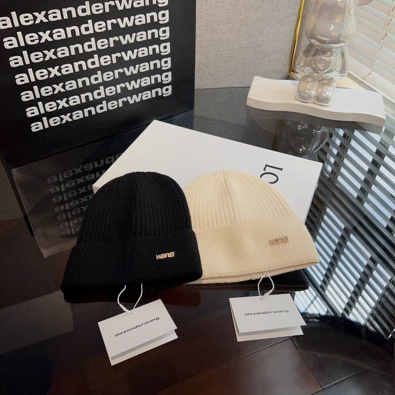 Alexander Wang hat 012354